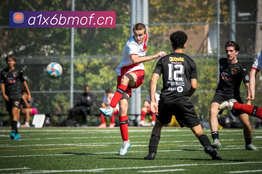 mksports官方app官网入口平台生态图