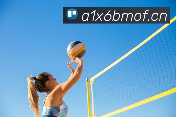 mksports官方app官网入口APP 封面图